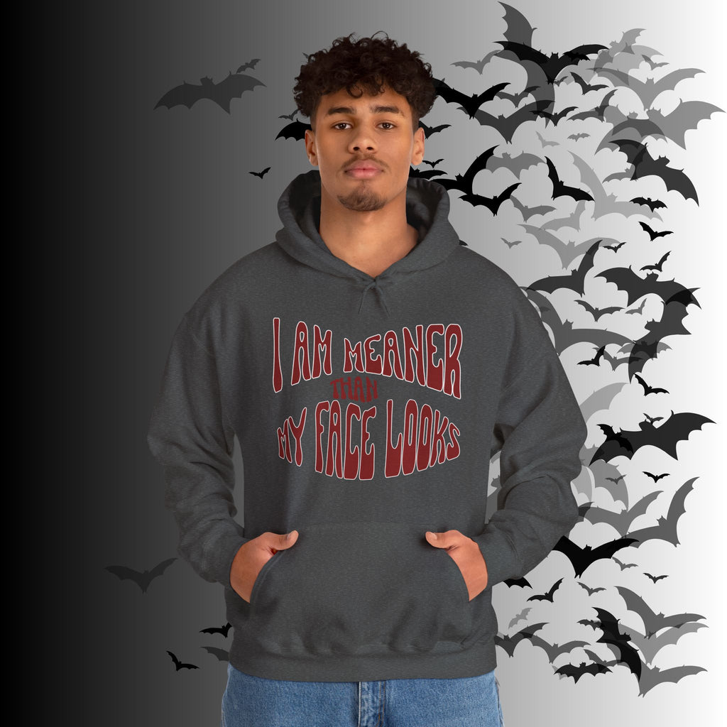 I Am Meaner Than My Face Looks Hoodie — Gothic Attitude Pullover