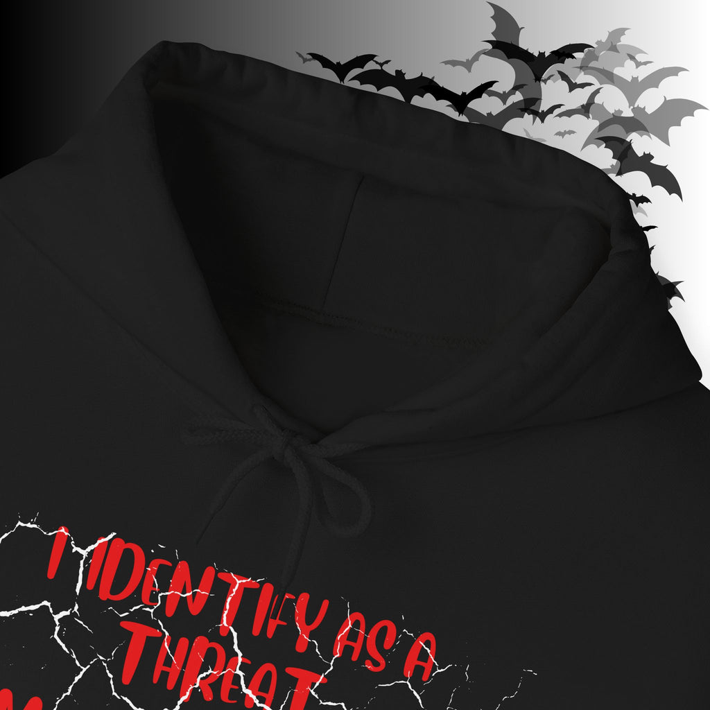 I Identify As a Threat Hoodie — My Pronouns Are Fuck Around Find Out
