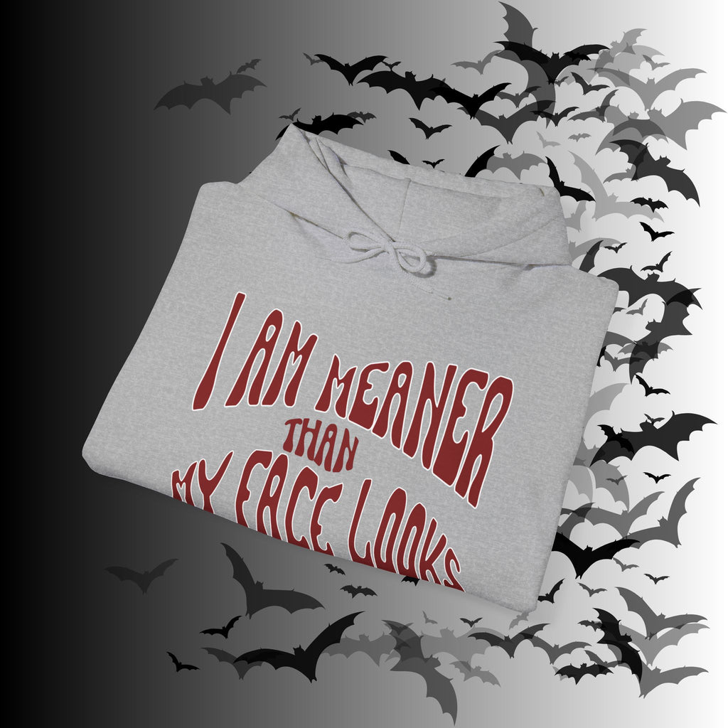 I Am Meaner Than My Face Looks Hoodie — Gothic Attitude Pullover