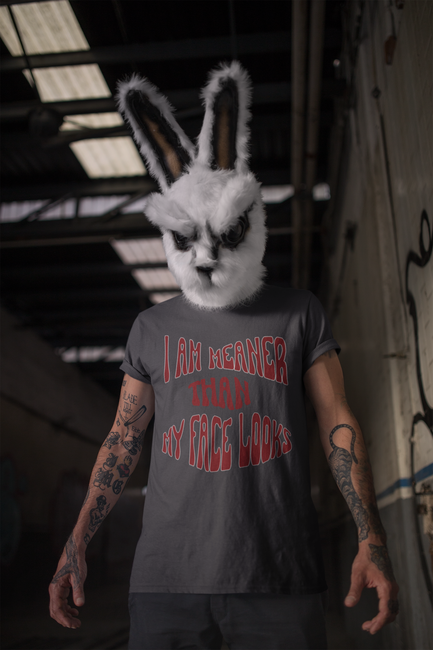 "I Am Meaner Than My Face Looks" Gothic Humor T-Shirt