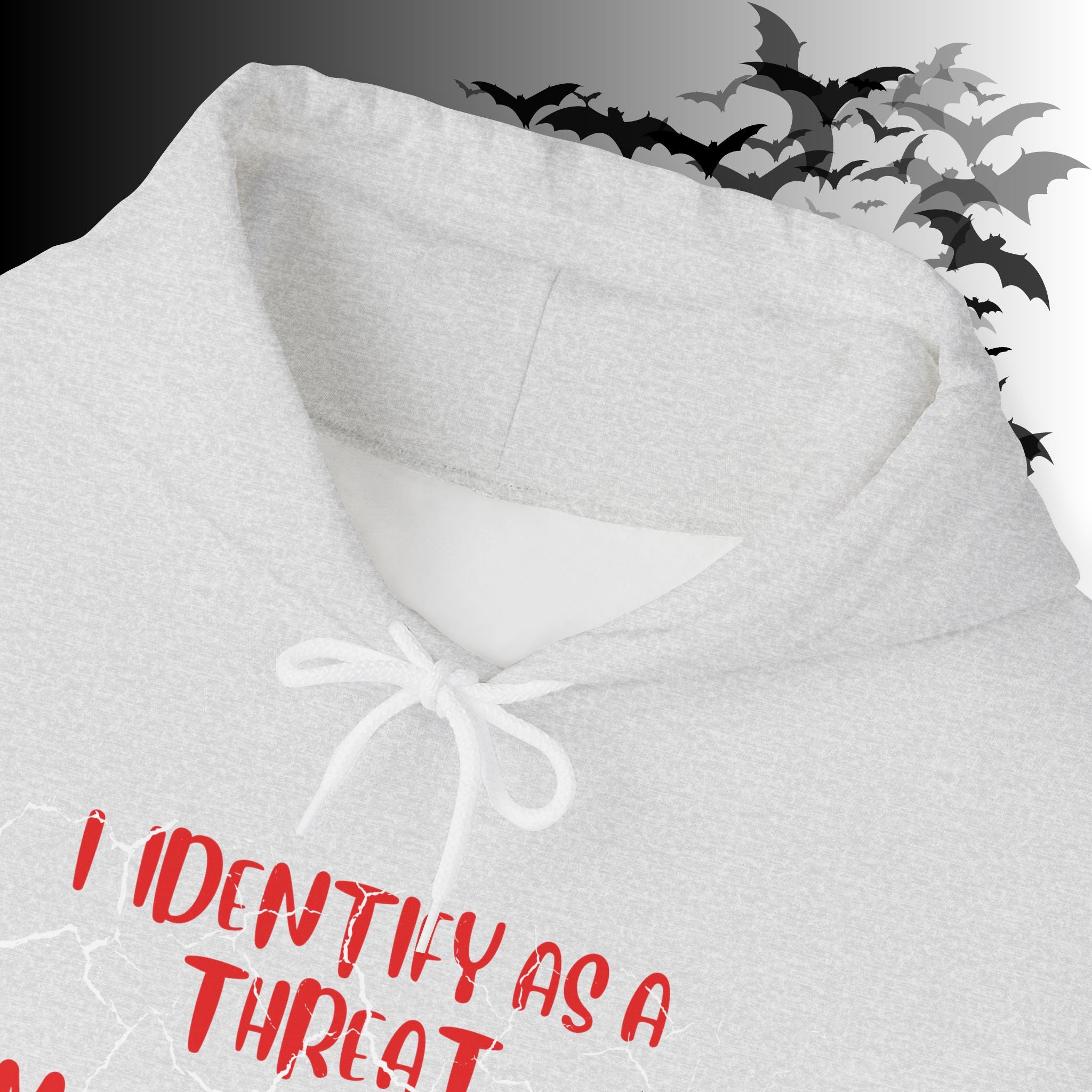 I Identify As a Threat Hoodie — My Pronouns Are Fuck Around Find Out