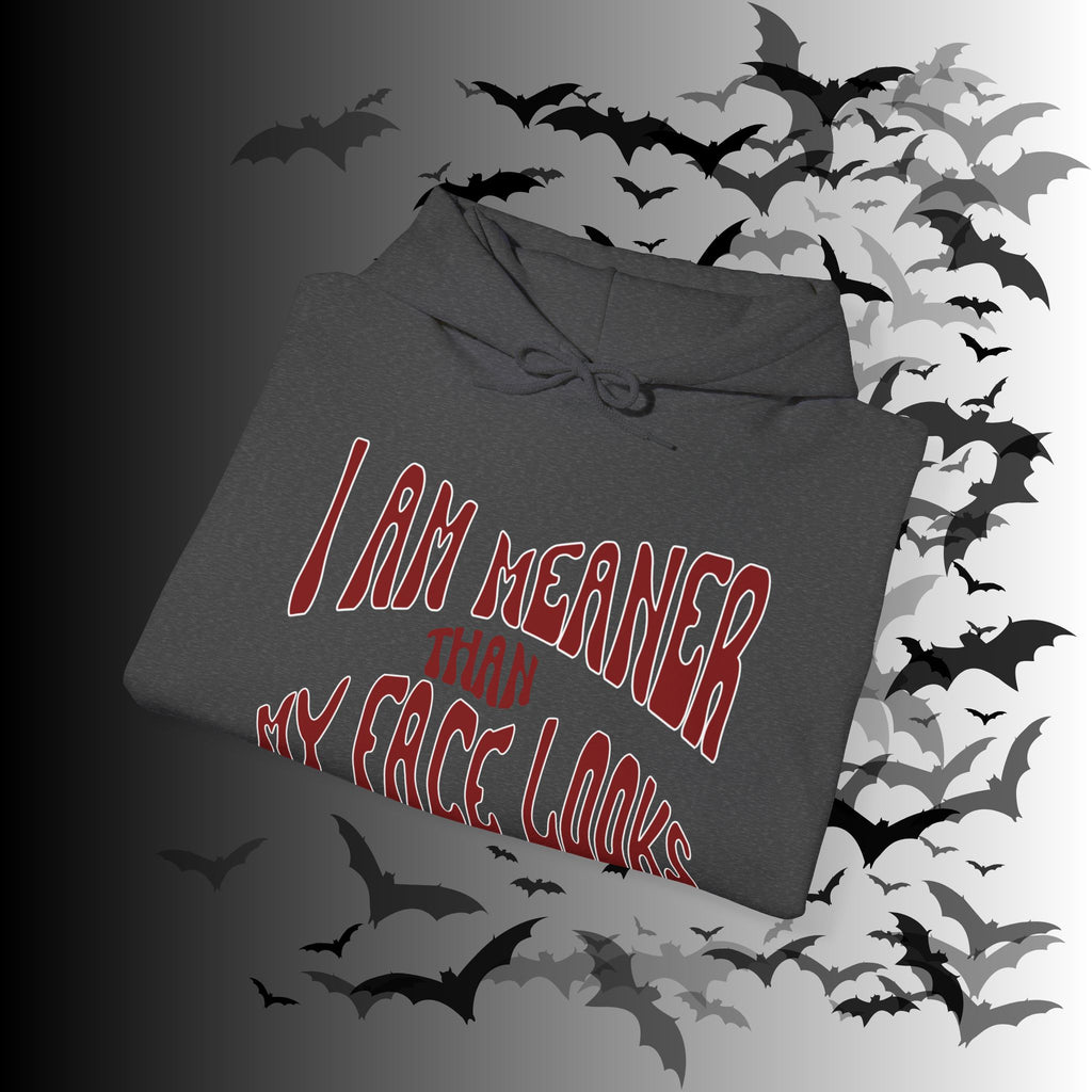 I Am Meaner Than My Face Looks Hoodie — Gothic Attitude Pullover