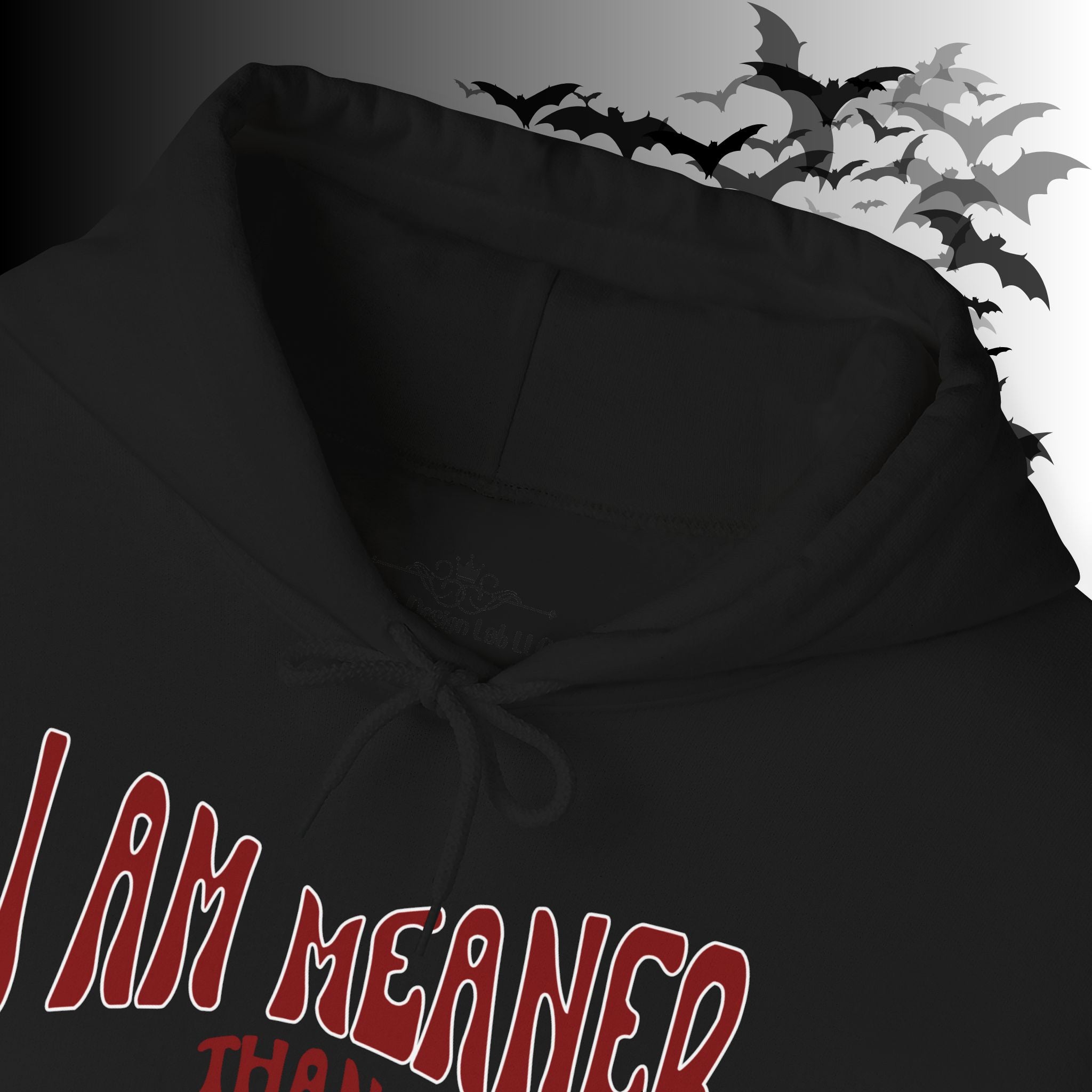 I Am Meaner Than My Face Looks Hoodie — Gothic Attitude Pullover