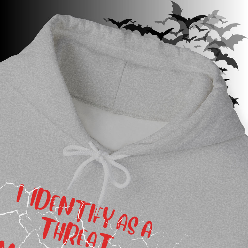 I Identify As a Threat Hoodie — My Pronouns Are Fuck Around Find Out