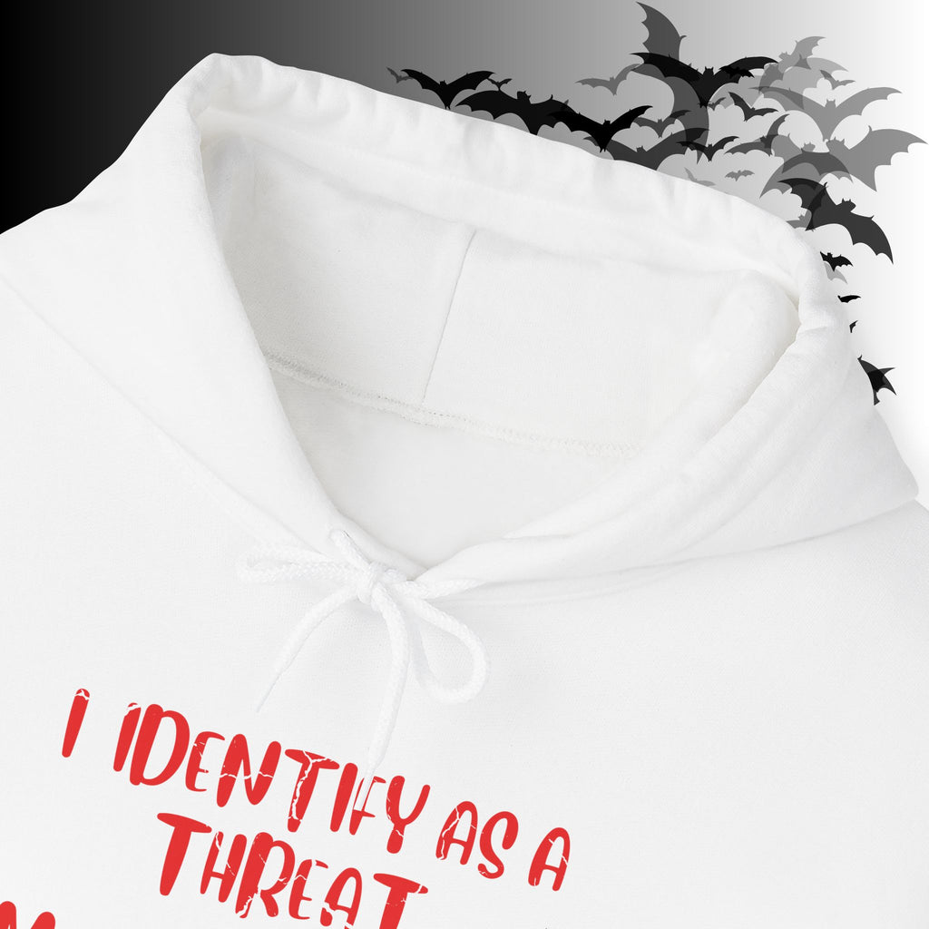 I Identify As a Threat Hoodie — My Pronouns Are Fuck Around Find Out