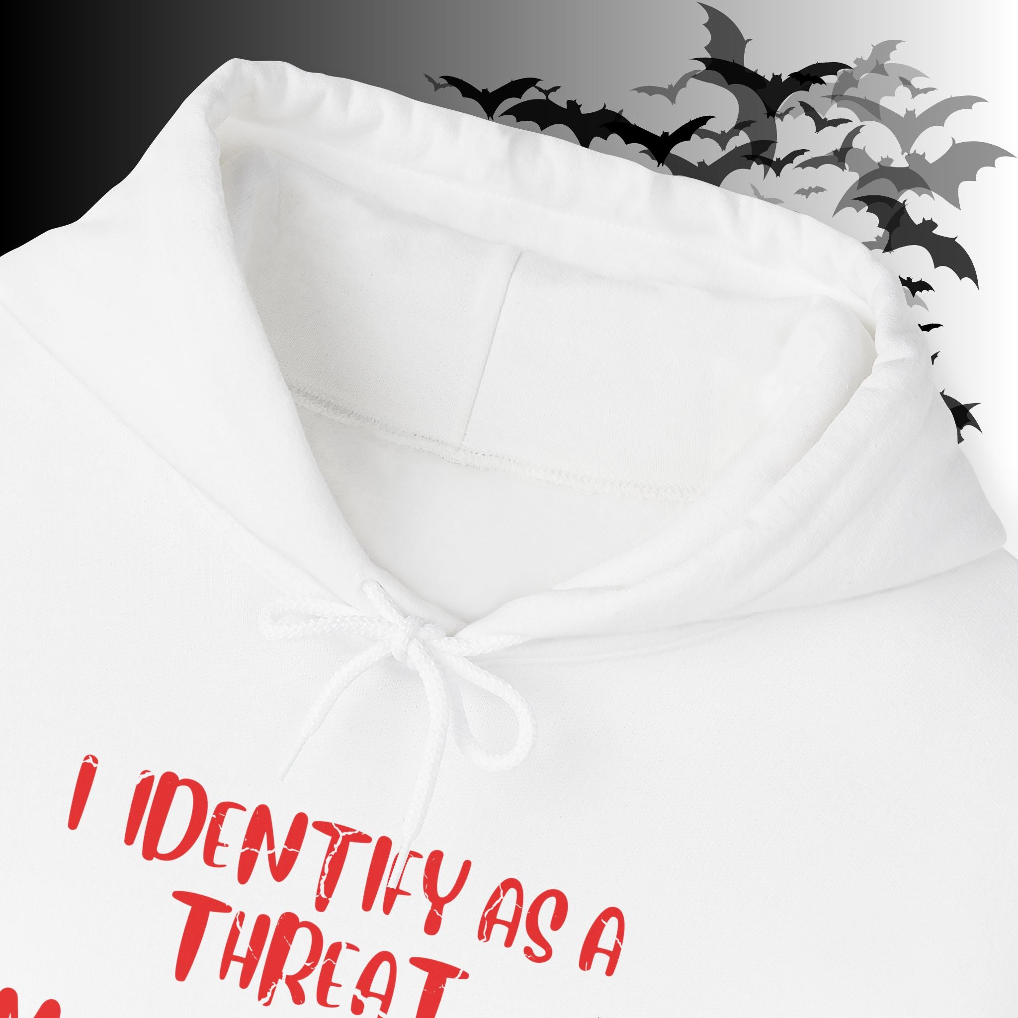I Identify As a Threat Hoodie — My Pronouns Are Fuck Around Find Out